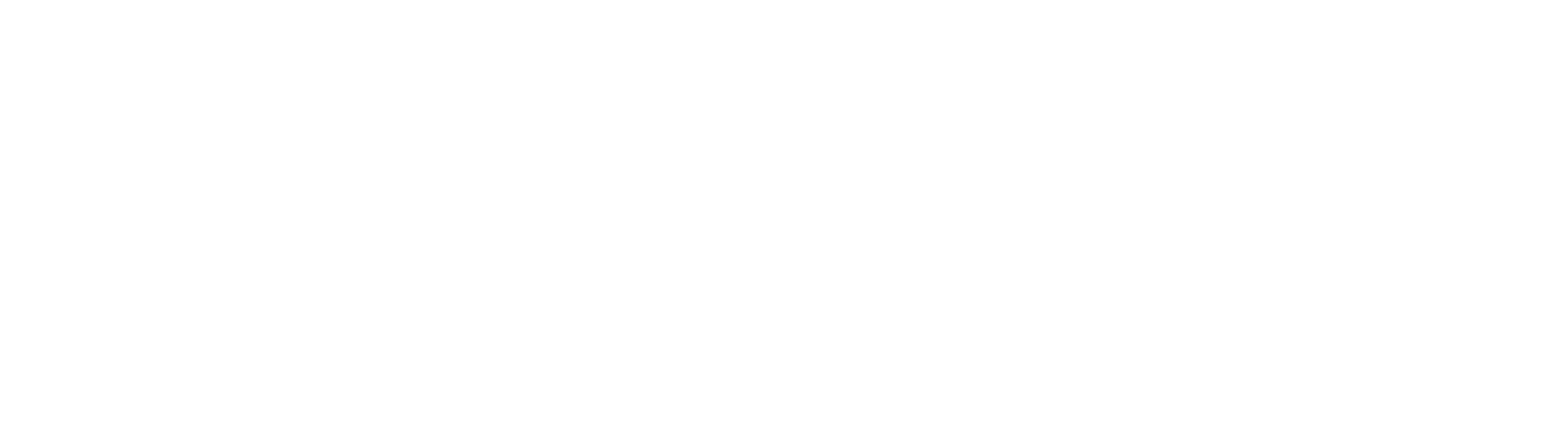 Logo EFE