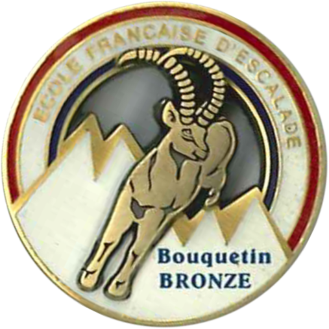 Bouquetin de bronze